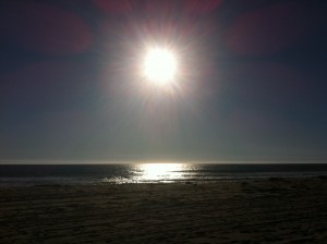 the wild woman project