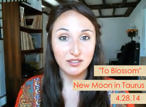 New Moon Report: To Blossom