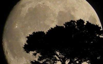 A love note for your creative heart, a full moon prayer & a quote for the week ahead