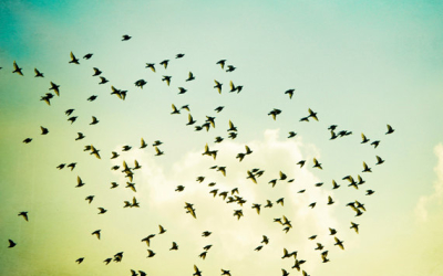 YOUR DIVINE INTELLIGENCE: Tending to Your Inner Air