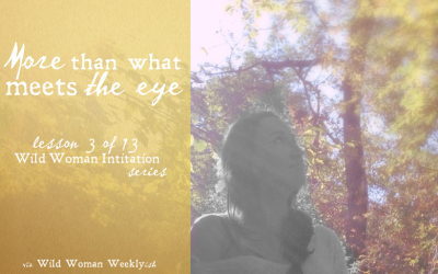 More Than What Meets the Eye {Wild Woman Initiation Series: Lesson 3}
