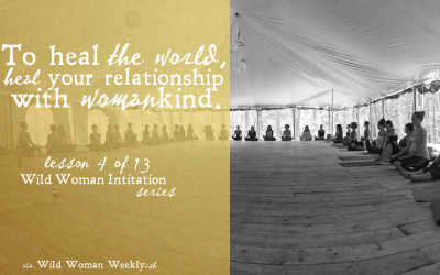 To Heal the World, Heal Your Relationship with Womankind {Wild Woman Initiation Series: Lesson 4}
