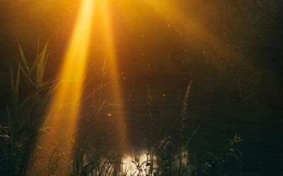 Learning to Love Yourself: Tools & Inspiration for the New Moon in Leo