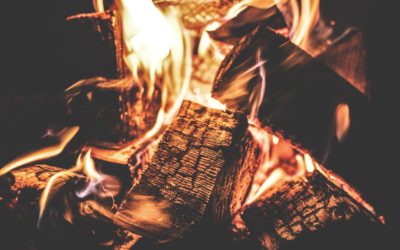 My Blood is the Song-lines for Generational Healing ~ By Marcy Coalter