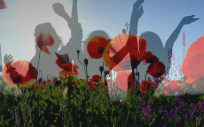 Voices of Venus: Tools & Inspiration for the New Moon in Taurus