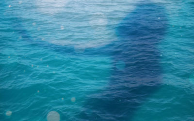 Feeling Waters: Tools & Inspiration for the New Moon in Cancer