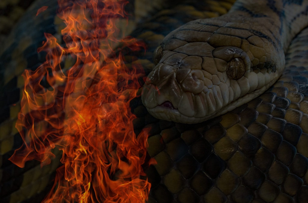 The Phoenix & The Snake: Ritual Recipes of Rebirth ~ Amanda Petrocelly