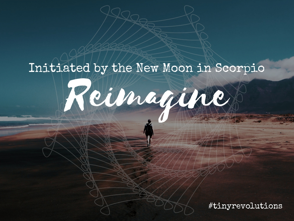 New Moon Talk: Reimagine ~ A Tiny Revolution