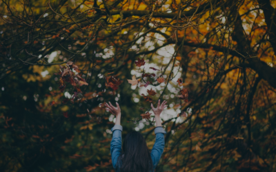 With Great Responsibility Comes Great Freedom: A Full Moon Ritual Recipe ~ Amanda Petrocelly
