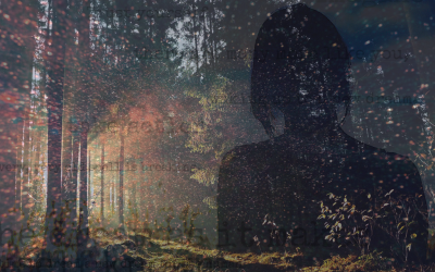 Out, In & Here: From the Other Side, Experiment #1 ~ by: Chris Maddox