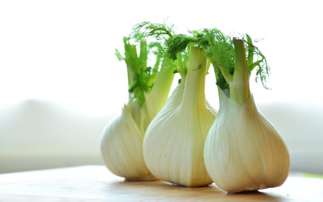 Food for the Seasons: Springtime Fennel Frond Pesto ~ by: Sabrina Dora Lopez