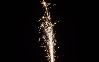 Reclaiming Joy: A Talk for the New Moon in Leo