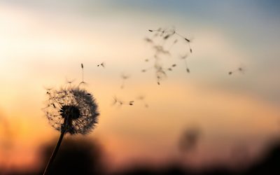 Winds of Change: A New Moon Talk ~ Chris Maddox