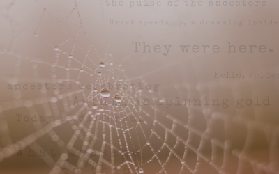 There Are Secrets We Already Know: From the Other Side, Experiment # 2 ~ Chris Maddox