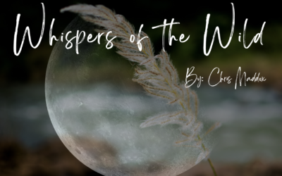 The Whispers of the Wild ~ Chris Maddox