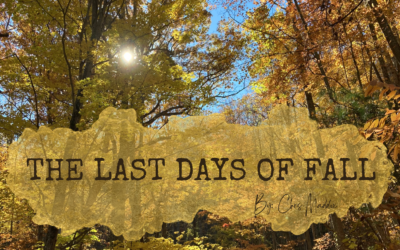 The Last Days of Fall ~ Chris Maddox