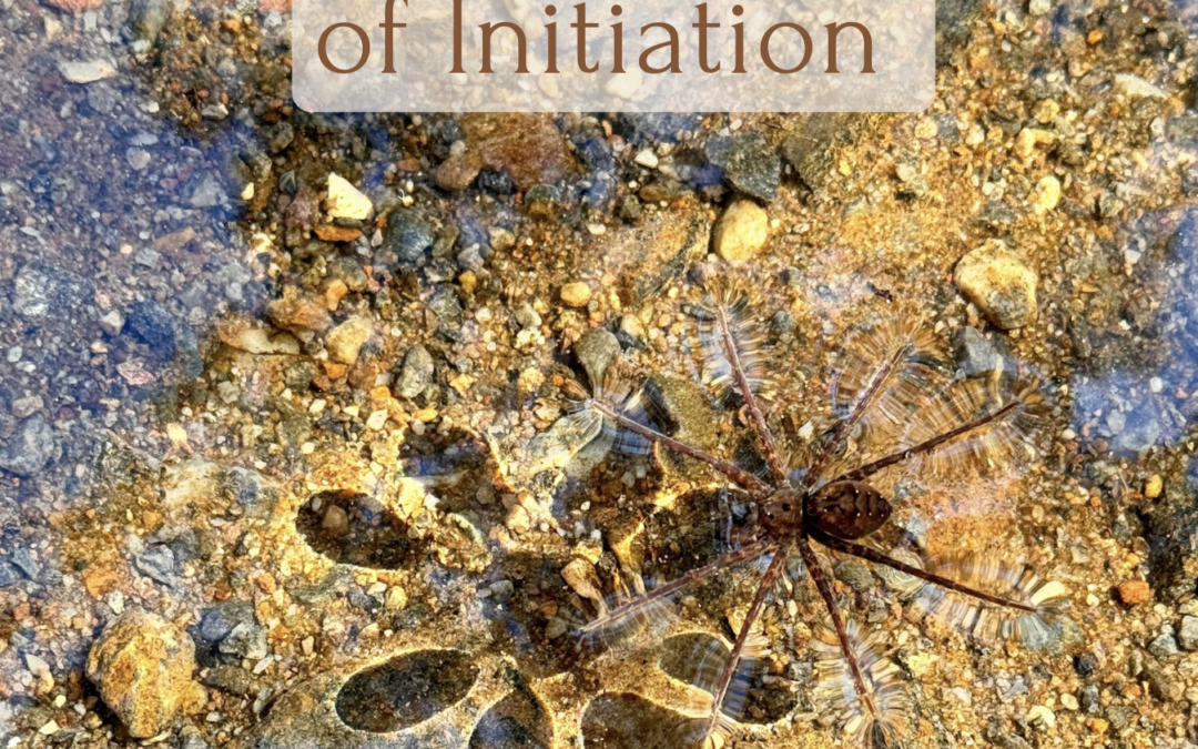 The Architecture of Initiation ~ Chris Maddox