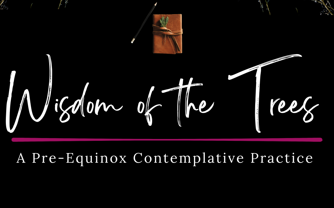 Wisdom of the Trees: A Pre-Equinox Contemplative Practice ~ Chris Maddox