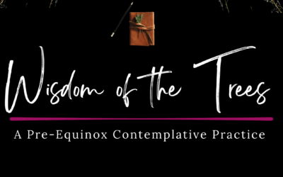Wisdom of the Trees: A Pre-Equinox Contemplative Practice ~ Chris Maddox