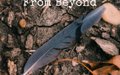 Fingerprints From Beyond ~ Chris Maddox